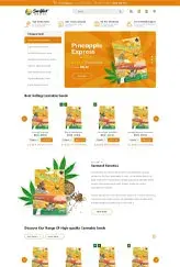 Designs Craftive Studios